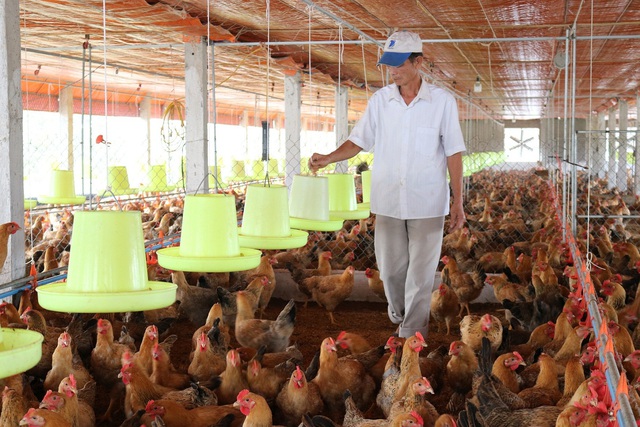 BIẾN RÁC THÀNH NGUYÊN LIỆU